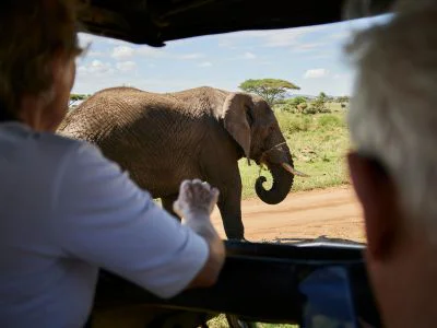 To personer ser på elefant fra safaribil