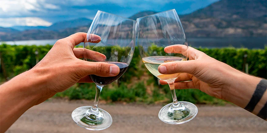 Par, der skåler i vin i Okanagan-dalen i Canada