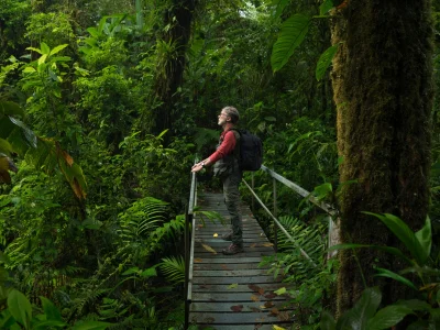 Mand står på en bro i den Costa Ricanske jungle