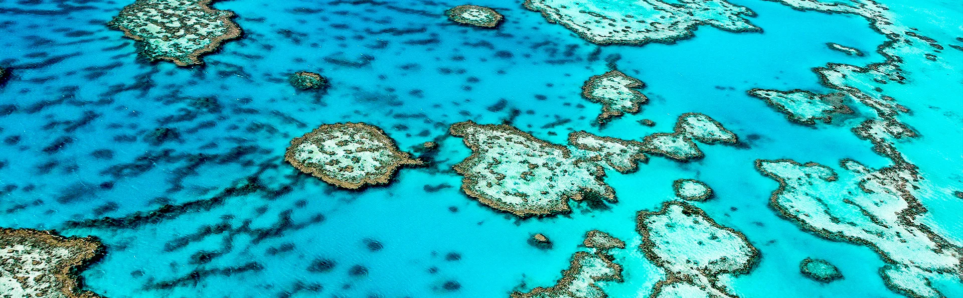 Great Barrier Reef ud for Australiens kyst.