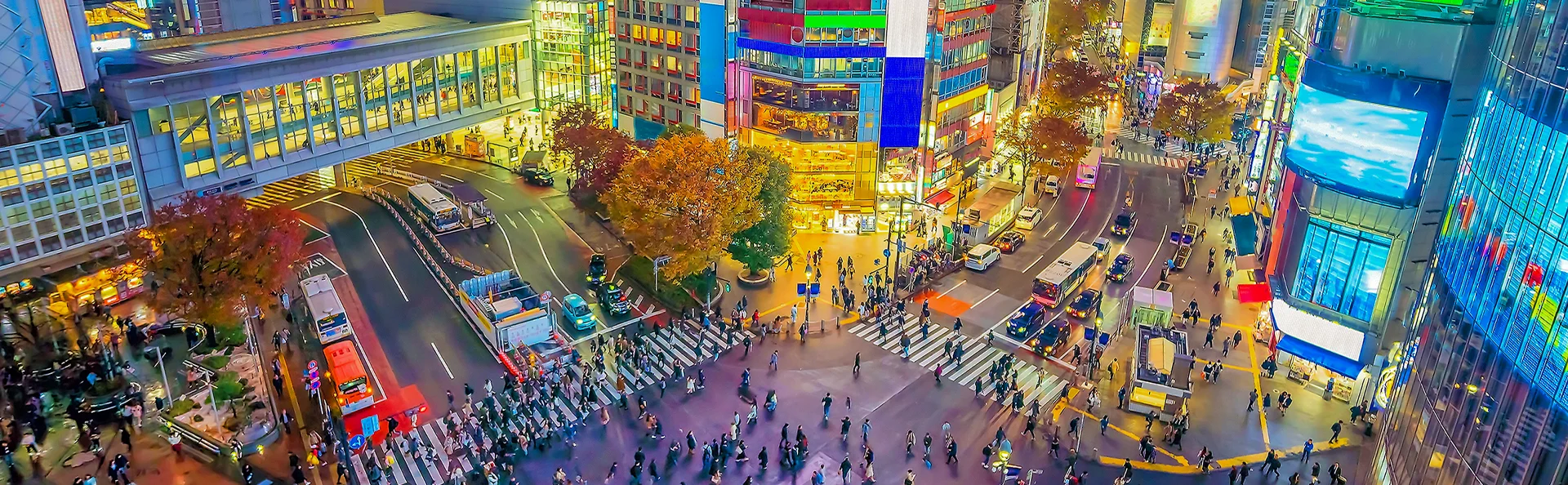 Shibuya-krydset i skumringen i Tokyo, Japan