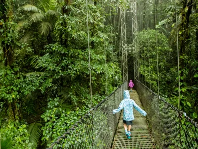 Børn går på hængebro i Costa Rica i regnvejr 