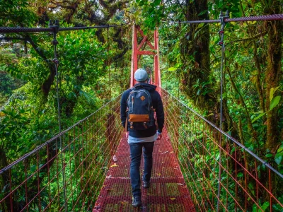 Mand går alene på hængebro i Monteverde Tågeskov i Costa Rica