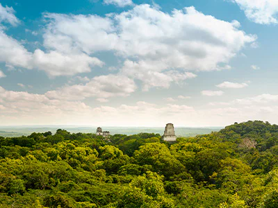 Overblik over Tikal Nationalpark med ruiner og regnskov