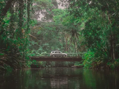 Bil kører gennem junglen i Costa Rica
