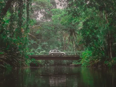 Bil kører gennem junglen i Costa Rica