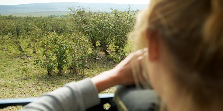 Kvinde tager billede af gepard i Masai Mara