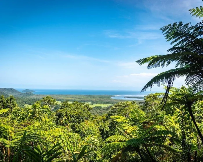 Vis billede 26