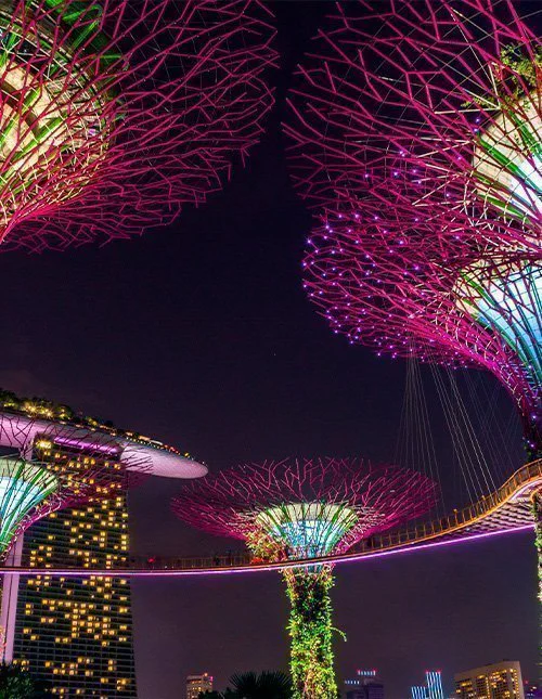 Oplyste Supertrees i Singapore lyser nattehimlen.
