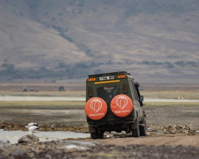 Vis billede 10