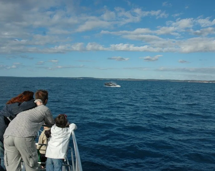 Vis billede 31