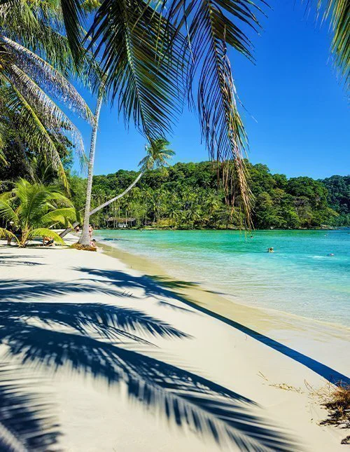 På Koh Kood i Thailand svajer frodige palmer blidt over de bløde sandstrande